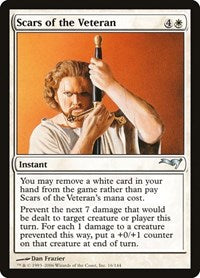 Scars of the Veteran (16) [Coldsnap Theme Deck Reprints]