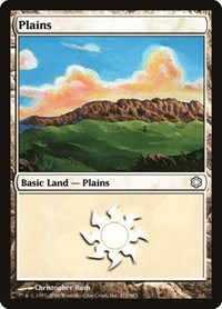 Plains (371) (371) [Coldsnap Theme Deck Reprints]