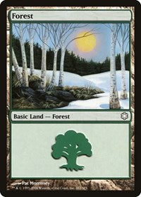 Forest (382) (382) [Coldsnap Theme Deck Reprints]