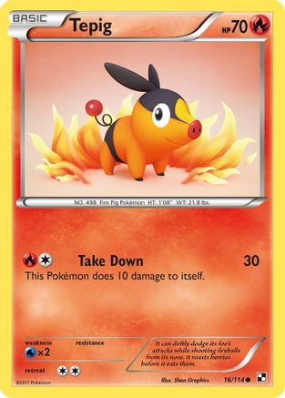 Tepig (16) 016  - Reverse Holofoil Black and White - Common