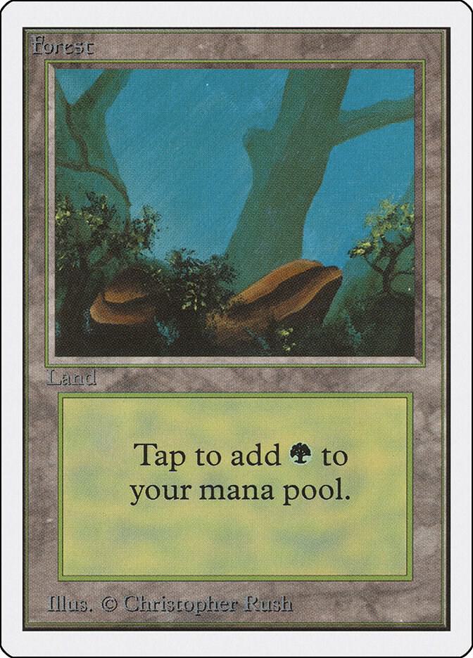 Forest (A) [Unlimited Edition]