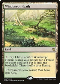 Windswept Heath (248) [Khans of Tarkir]