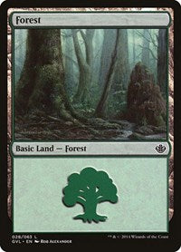 Forest (028) (GVL) (28) [Duel Decks: Anthology]