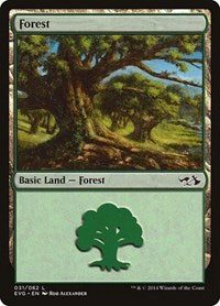 Forest (031) (EVG) (31) [Duel Decks: Anthology]