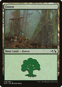 Forest (028) (EVG) (28) [Duel Decks: Anthology]