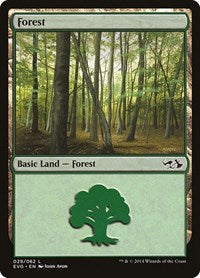 Forest (029) (EVG) (29) [Duel Decks: Anthology]