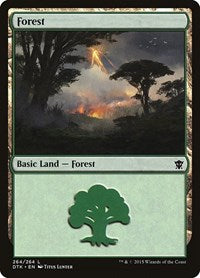 Forest (264) (264) [Dragons of Tarkir]