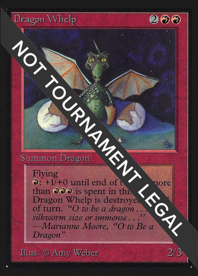Dragon Whelp (IE) [International Edition]