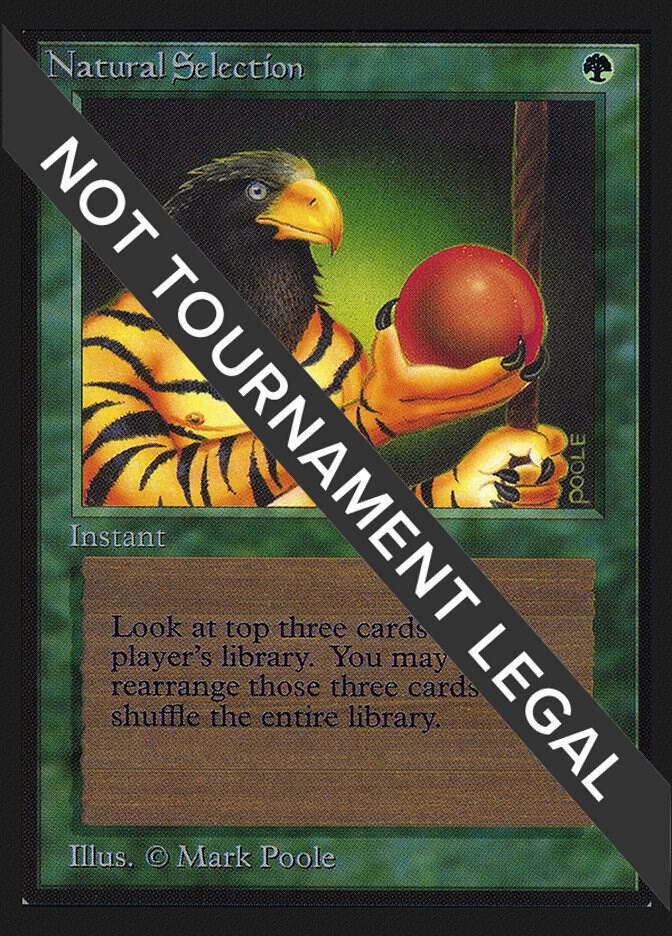 Natural Selection (IE) [International Edition]