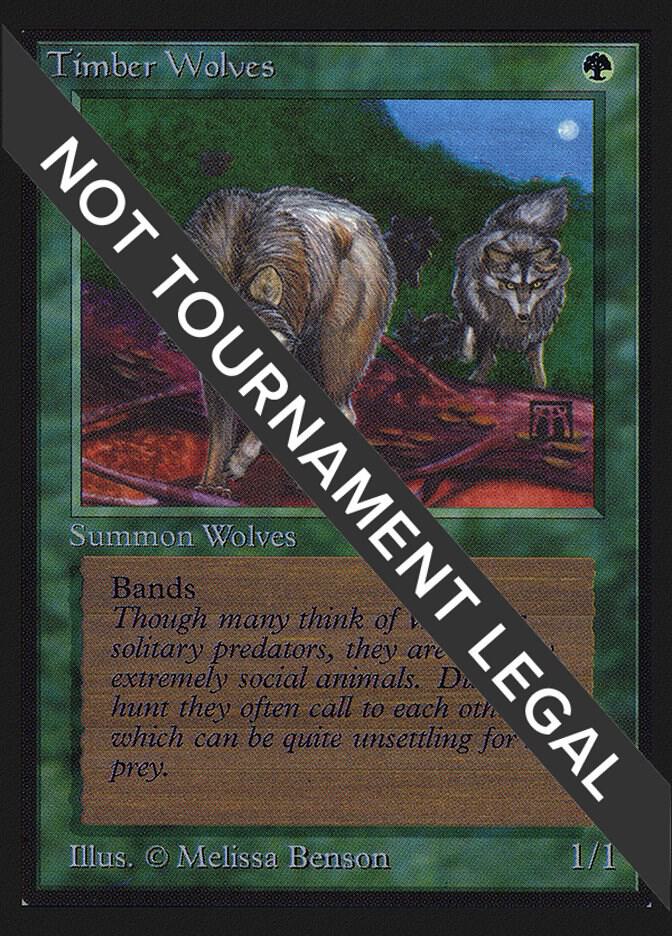 Timber Wolves (CE) [Collector's Edition]