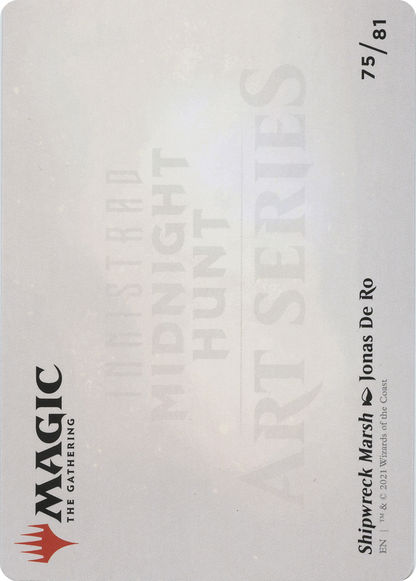 Shipwreck Marsh // Shipwreck Marsh (AMID-075) - Midnight Hunt Art Series (Borderless)