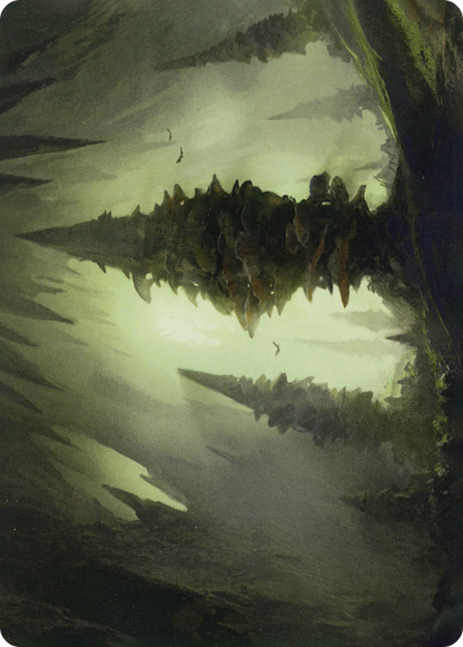 Forest // Forest (AAFR-055) - Adventures in the Forgotten Realms Art Series (Borderless) Foil
